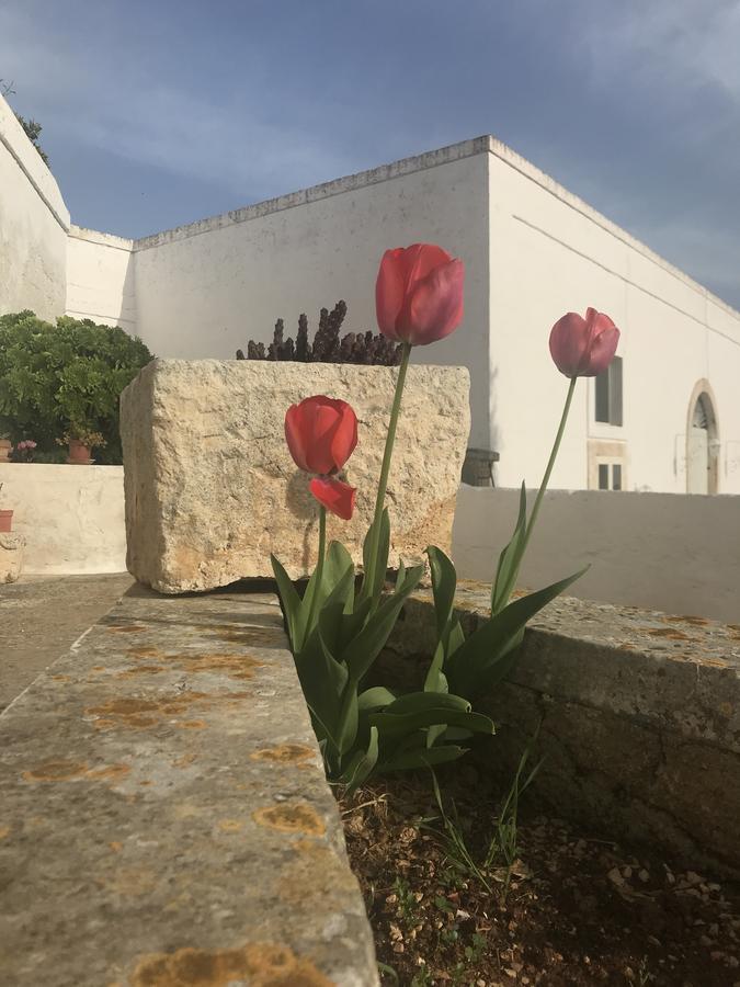 Masseria Rienzo Ostuni Exteriér fotografie