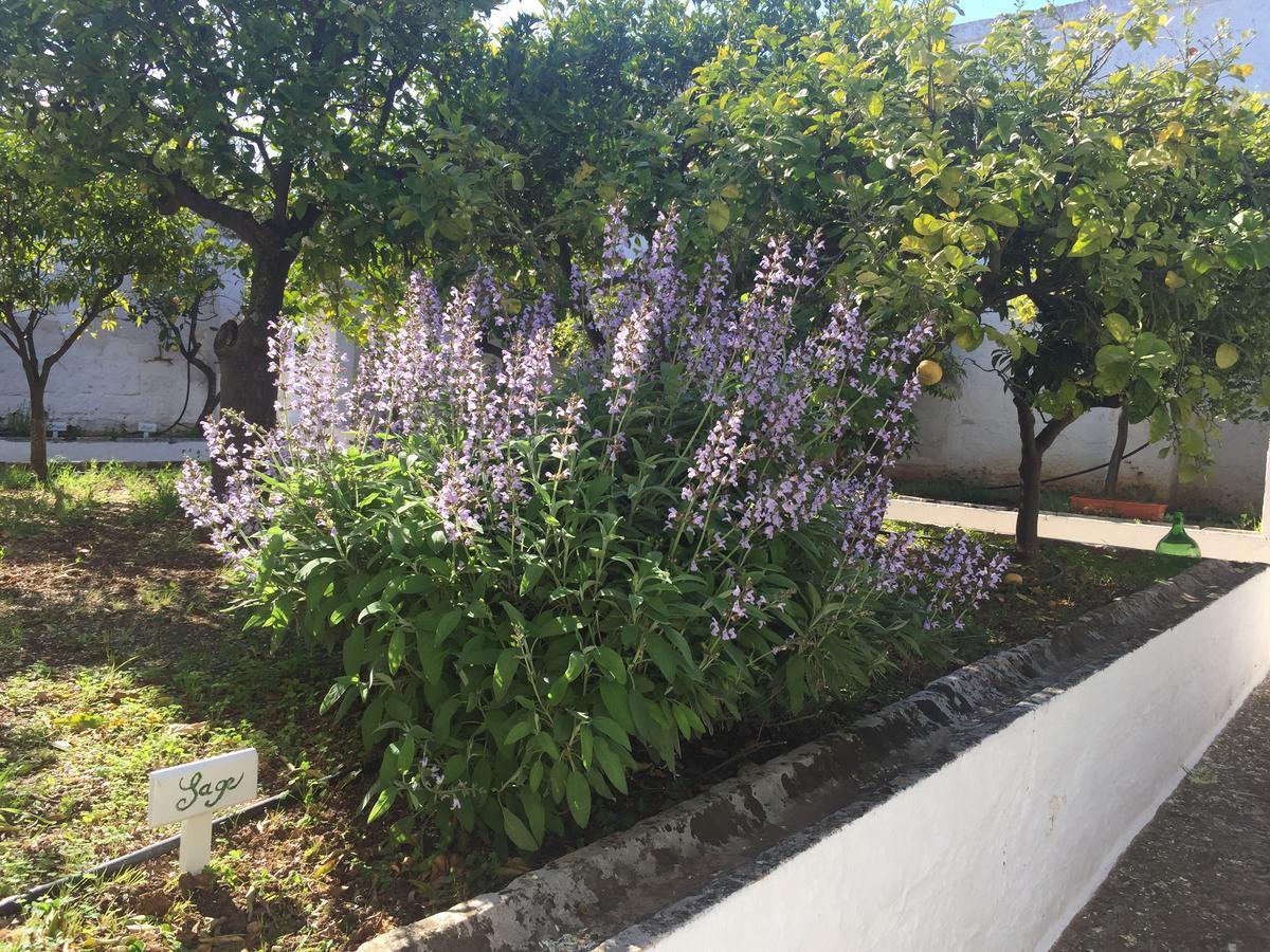 Masseria Rienzo Ostuni Exteriér fotografie