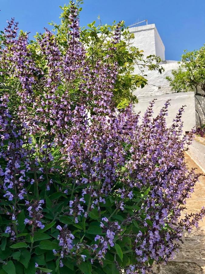 Masseria Rienzo Ostuni Exteriér fotografie